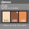 U-Star UA-91682 Aging Enamel Powder Bronze